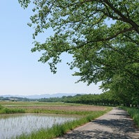 都幾川桜堤 大蔵 0 Tips 都幾川桜堤 大蔵 0 Tips