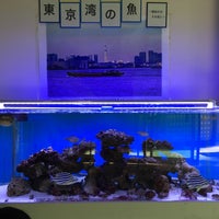 環境ふれあい館ひまわり 東京都台東区蔵前 その他文化施設 Yahoo ロコ