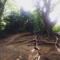 Photo taken at Parkland Walk (Muswell Hill Section) by András N. on 8/29/2015