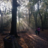 Photo taken at Highgate Wood by András N. on 11/2/2015