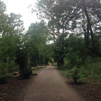 Photo taken at Parkland Walk (Muswell Hill Section) by András N. on 8/16/2015