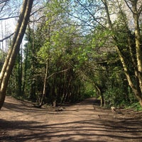 Photo taken at Parkland Walk (Muswell Hill Section) by András N. on 4/23/2016