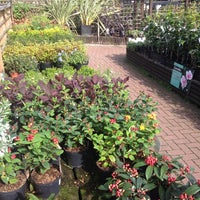 Photo taken at Alexandra Palace Garden Centre by András N. on 9/28/2014