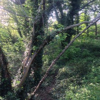 Photo taken at Parkland Walk (Muswell Hill Section) by András N. on 5/6/2016