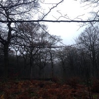 Photo taken at Coldfall Wood by András N. on 12/13/2015