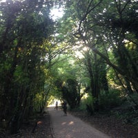 Photo taken at Parkland Walk (Muswell Hill Section) by András N. on 10/2/2015