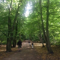 Photo taken at Highgate Wood by András N. on 8/28/2016