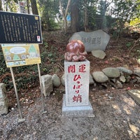 Photo taken at Takosugi (Octopus Cedar) by ふ～が on 3/31/2024