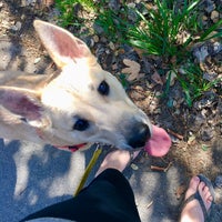 Photo taken at Hellyer Park &amp;amp; Coyote Creek Trail by Princess Susannah G. on 2/17/2020