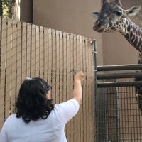 Photo taken at Giraffes by Loralie B. on 11/20/2017
