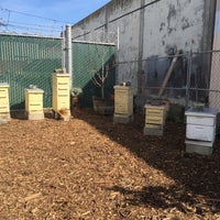 Photo taken at San Francisco Honey and Pollen Company by Loralie B. on 2/6/2016