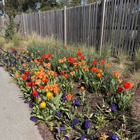 Das Foto wurde bei San Francisco Botanical Garden von Lauren M. am 3/8/2024 aufgenommen