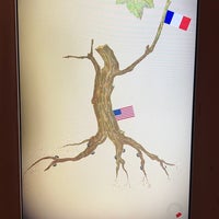 รูปภาพถ่ายที่ La Cité du Vin โดย Christina M. เมื่อ 5/8/2024