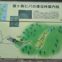 猿ヶ森ヒバ埋没林 猿ヶ森 0 Tips
