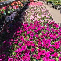 O Toole S Garden Center West Westminster 1 Tip From 179 Visitors