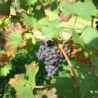 รูปภาพถ่ายที่ Serenberry Vineyards โดย Jeff P. เมื่อ 8/31/2013