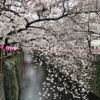 Photo taken at 中目黒の桜 by Shota N. on 3/29/2019