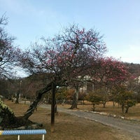 Photo taken at 梅津寺公園 by Sampei N. on 2/2/2013