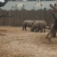 Photo taken at White Rhinoceros Exhibit @ Houston Zoo by Ulises on 10/7/2012