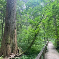 Das Foto wurde bei Białowieski Park Narodowy von Rishi K. am 6/27/2023 aufgenommen