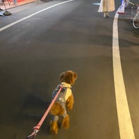 Photo taken at Yoyogi Park Dogrun by Takeshi Y. on 12/10/2023