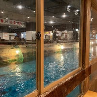 釣船茶屋ざうお 難波本店 中央区のシーフードレストラン