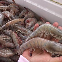 Снимок сделан в The Shrimp Net | Seafood Market пользователем The Shrimp Net | Seafood Market 4/17/2015