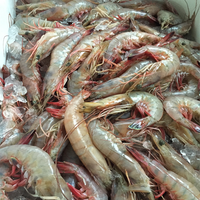 Снимок сделан в The Shrimp Net | Seafood Market пользователем The Shrimp Net | Seafood Market 4/17/2015