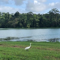 Photo taken at MacRitchie Reservoir by Tina H. on 12/28/2020