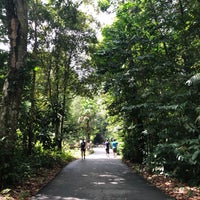 Photo taken at Bukit Timah Nature Reserve Visitor Centre by Tina H. on 6/15/2019