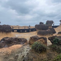 Photo taken at Yehliu Geopark by ばやりーす on 1/3/2024