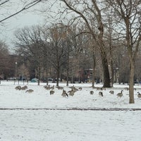 Photo taken at Humboldt Park by Gary G. on 1/7/2024