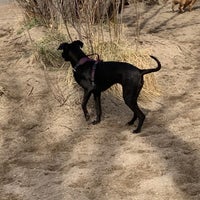 Photo taken at Joe&amp;#39;s Crab Shack by JD S. on 3/29/2020