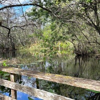 Foto tirada no(a) Audubon&amp;#39;s Corkscrew Swamp Sanctuary por Julie A. em 2/10/2023
