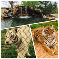 Photo taken at Tiger Safari by Deepa on 3/18/2016