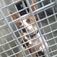 Photo taken at West Valley Animal Shelter by Giselle M. on 3/17/2013