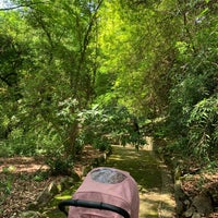 Photo taken at Jardim Botânico by Emily T. on 6/18/2023