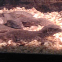 Photo taken at indonesia world reptile exhibition by Fullmoon M. on 10/26/2012