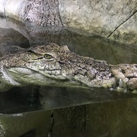 Photo taken at Крокодиляриум by Pavel L. on 9/26/2017
