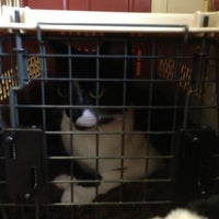 Photo taken at The Cat Vet by Kelly A. on 12/14/2012