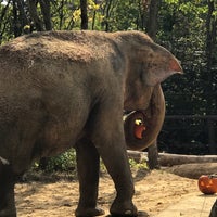 10/20/2019 tarihinde angellettziyaretçi tarafından Elephant Walk Indian Bar and Grill'de çekilen fotoğraf