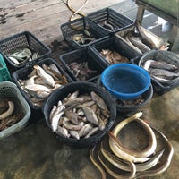 Bagan Sg Tiang Beach In Selekoh