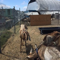 Das Foto wurde bei Bay Natives Nursery von Michelle W. am 7/21/2018 aufgenommen