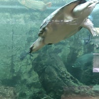 Photo taken at Aquarium Tropical de la Porte Dorée by Leticia A. on 12/6/2022