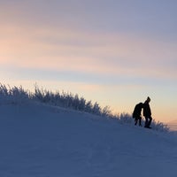 Red Fox Bar & Grill - 161 visitors