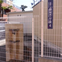 Photo taken at 寛永寺坂駅 跡地 by 温泉 や. on 2/11/2020