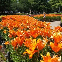 Photo taken at 千種公園 by しおまき on 6/10/2021