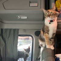 simmons pet food locations