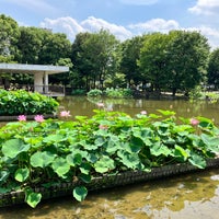 Photo taken at 郷土の森公園 修景池 by losttechnology on 6/20/2023