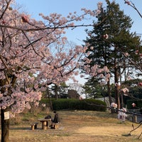 Photo taken at 平塚市総合公園 by aimaru *. on 3/8/2023